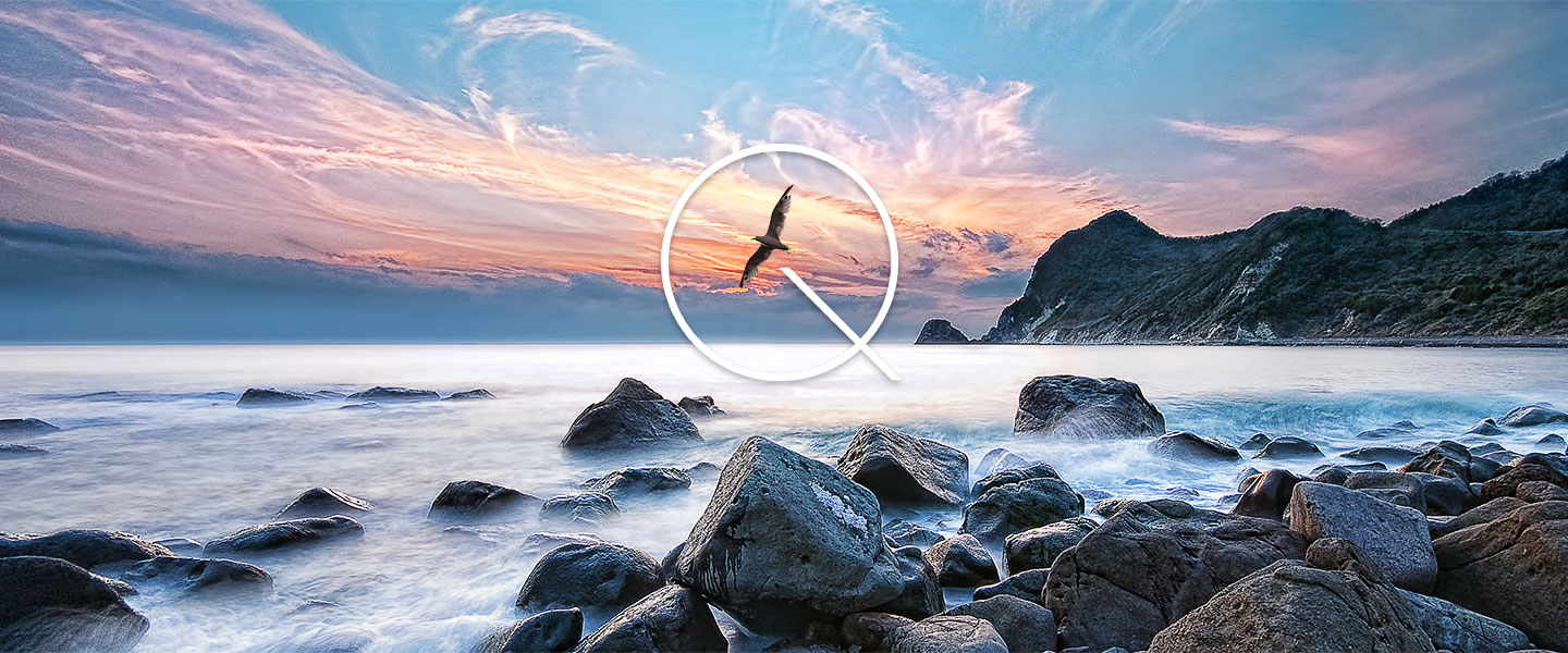 돌이 무수히 쌓여있는 바다에 안개가 끼어 있는 듯하게 돌무더기를 감싸고 있으며 중앙에는 새 한마리가 비상을 하고 있는 이미지가 보여지고 있습니다. 중앙에 Q 타이포가 해를 감싸고 있습니다.