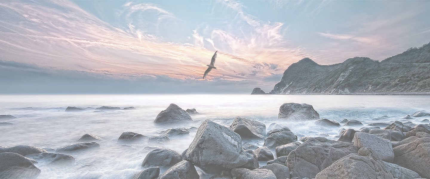 돌이 무수히 쌓여있는 바다에 안개가 끼어 있는 듯하게 돌무더기를 감싸고 있으며 중앙에는 새 한마리가 비상을 하고 있는 이미지