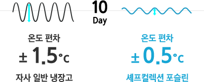 온도 상승 비교 그래프가 보여집니다.