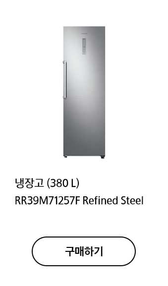 냉장고 (380 L) RR39M71257F Refined Steel 구매하기