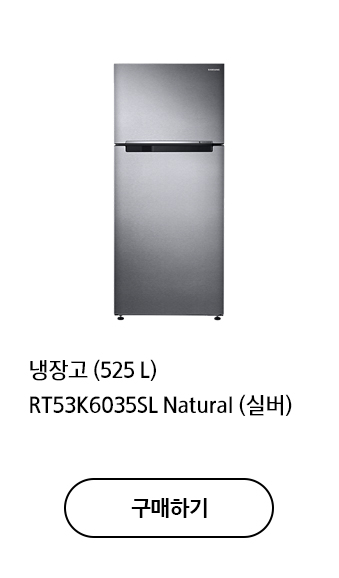 냉장고 (525 L) RT53K6035SL Natural (실버) 구매하기