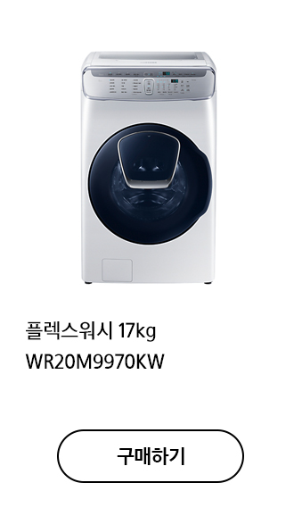 플렉스워시 17kg WR20M9970KW 구매하기