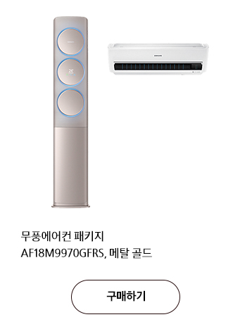 무풍에어컨 패키지 AF18M9970GFRS, 메탈 골드 구매하기