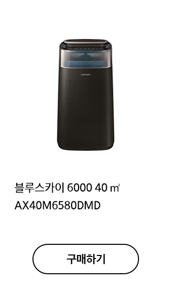 블루스카이 6000 40㎡ AX40M6580DMD 구매하기